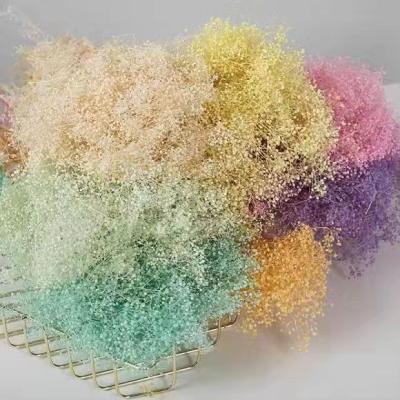 China New Arrivals Decorative Natural Dry Artificial Flower Gypsophila Amazon Amazon Flower Flowers A47 2021 Small for sale