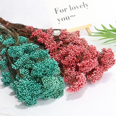 China B6-X 2021 environmental newcomers green protection preserved natural dry flower rice decorative flowers for wedding decorations for sale