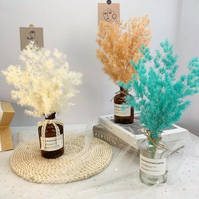 China 2021wholesale A-58 Amazon Amazon Candle Lover Cheap Durable Dry Natural Grass Decorative Flower For Resin Dried Flowers Wedding Decor for sale