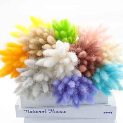 China 2021 Natural Amazon Amazone A-29 Part Cheap Wholesale Dry Candles For Decorative Resin Flower Rabbit Tail Dried Flowers for sale