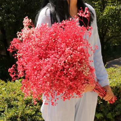 China GH-6 Amazon High Quality Home Decoration Hit High Quality Party Flower Bouquet Baby's Breath Home Decor for sale