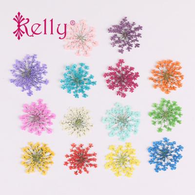 China Easy Apply 3D Dried Flowers for Nails Dried Flowers for Nail Resin Nail Craft Art Accessories Pressed Dried Flower Art Decoration for sale