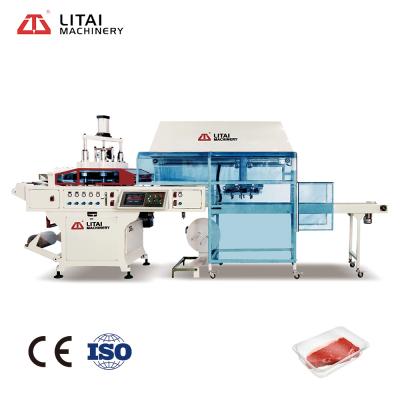 China Medical Plastic Products High Capacity Tray Plastic Negative BUMPS Thermoforming Machine for sale