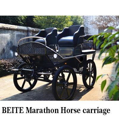 China 360 Rotation Deluxe Marathon Horse Carts / System Double Seat Trolley for sale