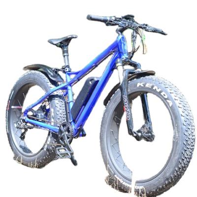 China 2017 factory price 26inch cheap fat tire mountain aluminum alloy electric bike with hydraulic brake for sale