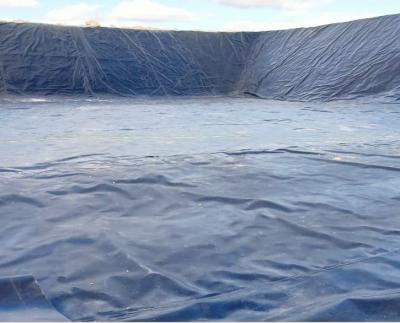 China High Tensile Strength China Trade Smooth Surface Textured HDPE Geomembrane Wholesale Landfill for sale