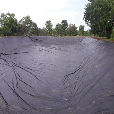 China Wholesale High Quality Soft High Tensile Strength HDPE Geomembrane for sale