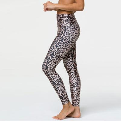 China New Leopard Print Yoga Gaiters Whole Fit Slim Fresh Breathable Polyester Spandex Women's Workout Waistband Top Style for sale