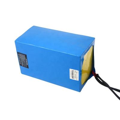 China 250w/350w/500w/750w/1000w Electric Bike/Scooter Customized Cheap Price High Quality Electric Bike Power Battery Pack for sale