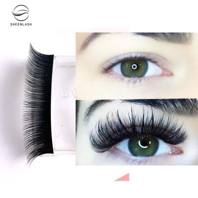 China Good seller easy mega volume eyelash fan mega volume SHEENLASH SHEENLASH full fan quick eyelash extension for sale