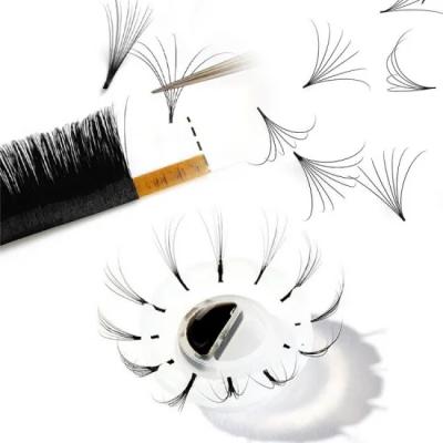 China Fan Natural Automatic Easy Volume Blooming Eyelash Extension With Customized Luxury Box Eyelash Extensions for sale