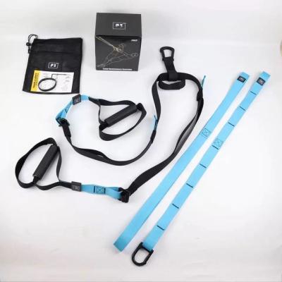 China 2021 Universal New Design YF Sport Light Blue Suspension P3-3 Trainer Pull Up Bodyfitness Lossweight for sale