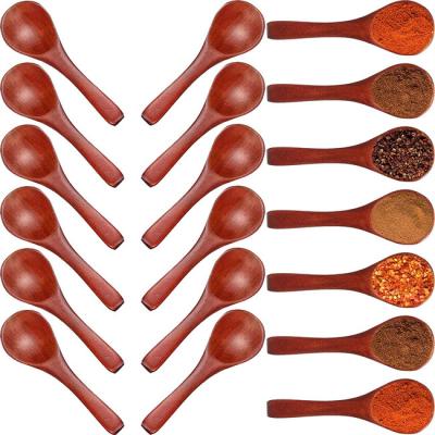 China Nature Wooden Mini Tasting Condiments Salt Spoon For Kitchen Cooking 30 Pieces for sale