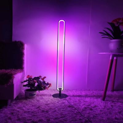 China New Modern Nordic LED Stand Up Floor Lamp Round U Shaped RGB Floor Lamp for sale