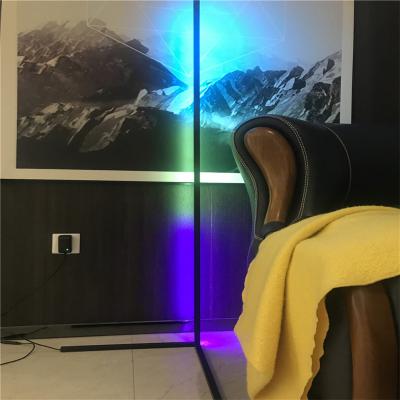 China Nodic Modern Bedroom LED Corner Floor Lamp Vertical Color Changing Minimal RGB Floor Lamp for sale