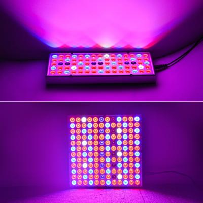 China Lighting And Circuitry Design LED Plant Grow Light Seed Starting, BLOOM, VEG for sale