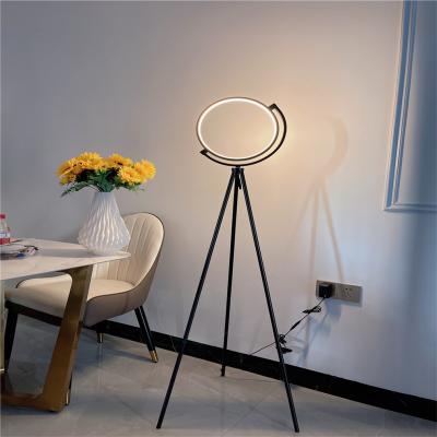 China 2021 Modern Wholesale Best Quality China RGB Tripod Floor Light Single Color Change Led Floor Lamp for sale