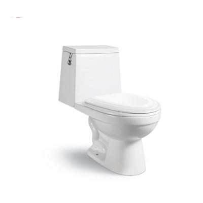 China High Quality Dual-Flow Siphonic Two Piece Toilet Access For Sale CL204 for sale