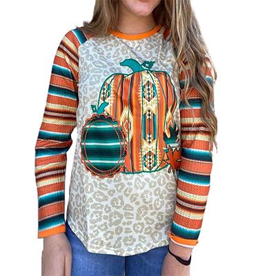 China Pumpkin Leopard Serape Halloween Anti-Pilling Long Sleeve Top for sale