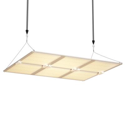 China Led-Panel 3x3 Wachstumslicht Pflanzenlampe 600w zu verkaufen