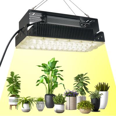 Κίνα 100w εσωτερικό 5x5 Grow Light για εσωτερικά φυτά κήπου Succulents SMD3030 προς πώληση