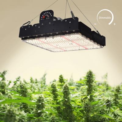 Κίνα Πλήρες φάσμα T5 LED Grow Light για εσωτερικά φυτά 250w προς πώληση