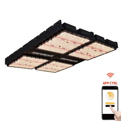 China 1000W Luces para plantas de interior 4x4 Crecer luz en venta