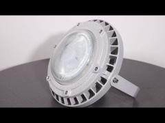 Explosion proof light