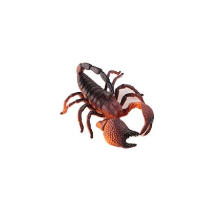 China Fashionable Low Price Wholesale Custom Spoof Toy , Realistic Plastic Scorpion Model Toy Animal for sale