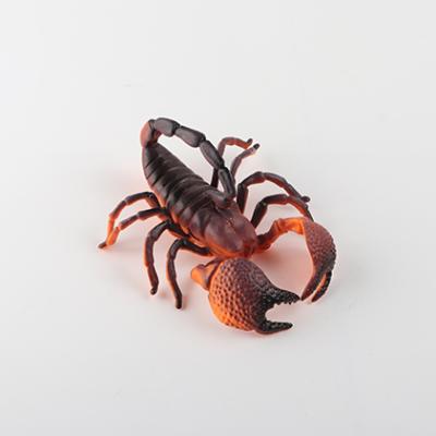 China Fashionable Wholesale Custom Kid Scorpion Plastic Insect Animal Model Funny And Vivid Toy for sale