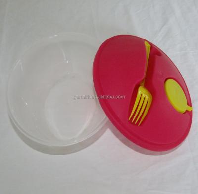 China Sustainable Salad To Go Plastic Lunch Box Salad Bowl With Dressing Plunger for sale