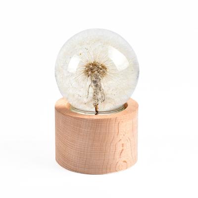 China Funny Hot Sale Home Decor Gift Ornaments Wooden Crystal Ball Dandelion for sale