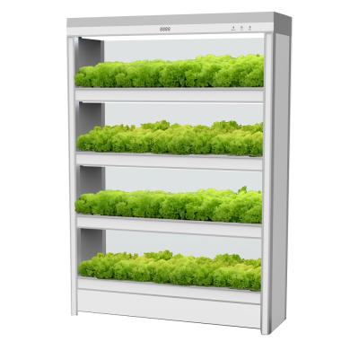 China PC Leaf Tower Vertical Garden Hydroponics Grow Systems for sale