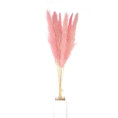 China No pollen Yifang factory direct sale good quality rose true dried flowers pampas grass for wedding decoration for sale