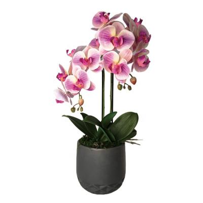 China Real Touch Purple Home Decoration Office Hotel Artificial Orchid Flower Plants for sale