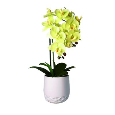 China High End Real Yellow Orchid Touch Eco - Friendly Artificial Potted Party Decoration Plant Price for sale