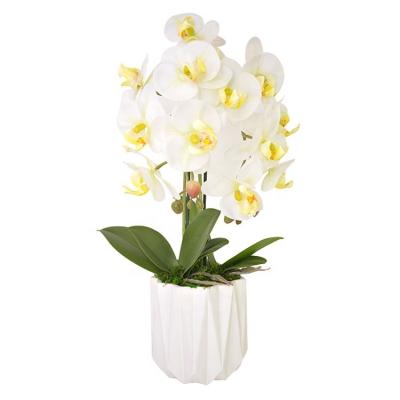 China Real Touch Plant Eco - Friendly Indoor White Orchids Pot Decoration 14 Heads Artificial Flowers for sale