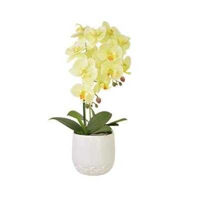 China Modern Home Indoor Artificial Decoration Real Touch Eco-friendly Hotel Yellow Orchid Flower for sale