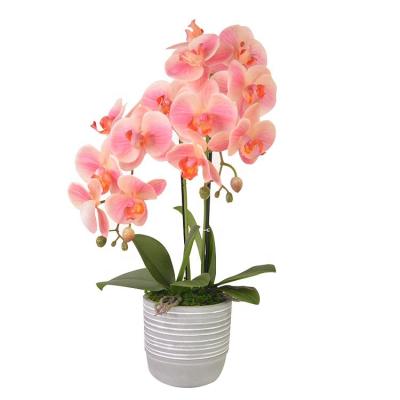 China Factory Price Red Orchid Decoration Eco - Friendly Interior Premium Real Quality Artificial Touch for sale