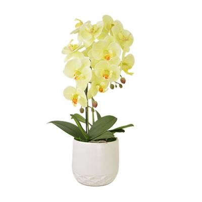 China Eco-Friendly Wholesale Custom Home Decor Artificial Heads 14 Yellow Real Touch Flower Orchid for sale