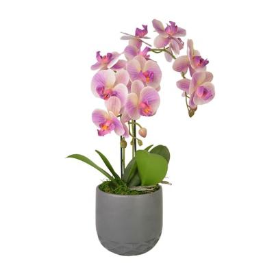 China Wholesale Eco-friendly Home Real Touch Purple Cymbidium Orchids Decoration 14 Heads Artificial Hotel Flowers for sale