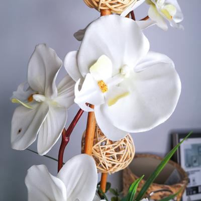 China High Quality White Silk Flower Rattan Plastics Bulk Phalaenopsis Real Touch Eco-Friendly Bamboo for sale