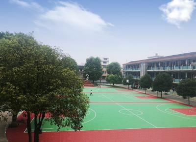 Chine Basket-ball modulaire de réduction saine parquetant la conception populaire recyclable de modèle à vendre