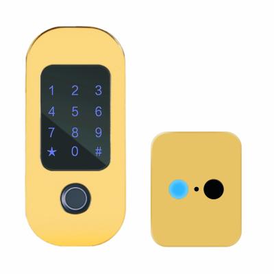 China Euro Standard Apartment Security Fingerprint Lock Anti Theft Electric Door Lock IT2 for sale