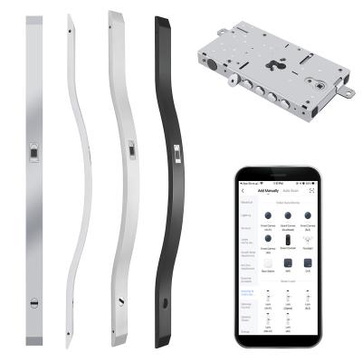 China Galvanized smart plate smart electronic motorized lock system motorize securitylock for sale