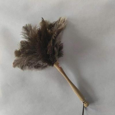 China Manual Brushes for Cleaning Products Ostrich Feather Electric Bamboo Duster Bamboo Handle Smooth Handle for sale