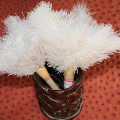 China Mini Factory Price High Quality Sustainable Household Ostrich Feather Soft Fluffy Reusable Eco-Friendly Cloth for sale