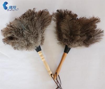 China Best Selling Sustainable China Ostrich Feather Soft Duster Eco-friendly Good Quality Factory Price Household for sale