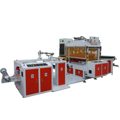 China machinery & Rigid Material APET Roll Sheet Die Cut Machine For Boxes Making for sale