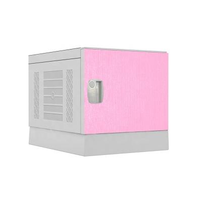 China Gymnasium Factory Price 4 Door ABS Storage Cabinets Plastic Gym Storage Cabinet for sale